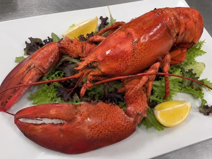 Deep-sea lobster