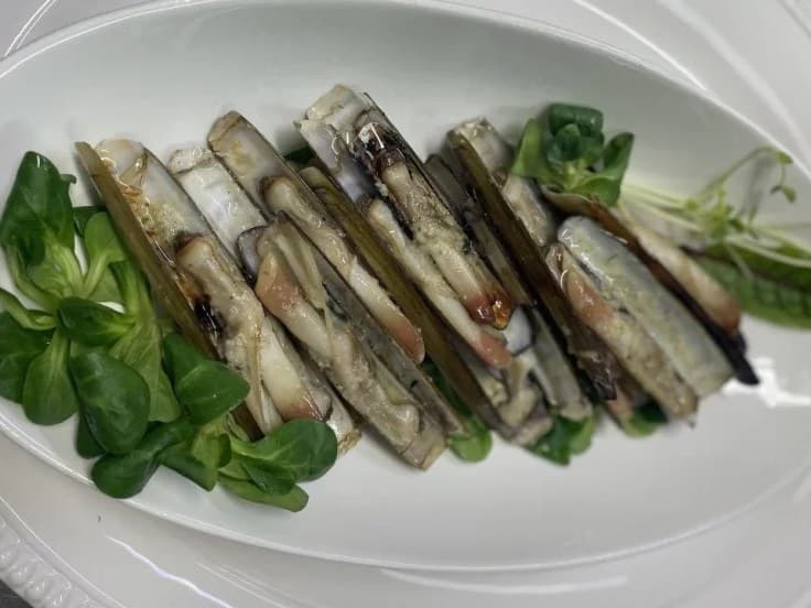 Razor clams