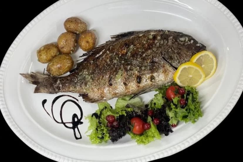 Dorada grilled