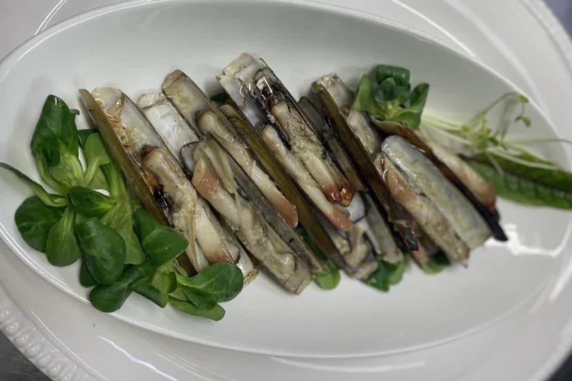 Razor clams