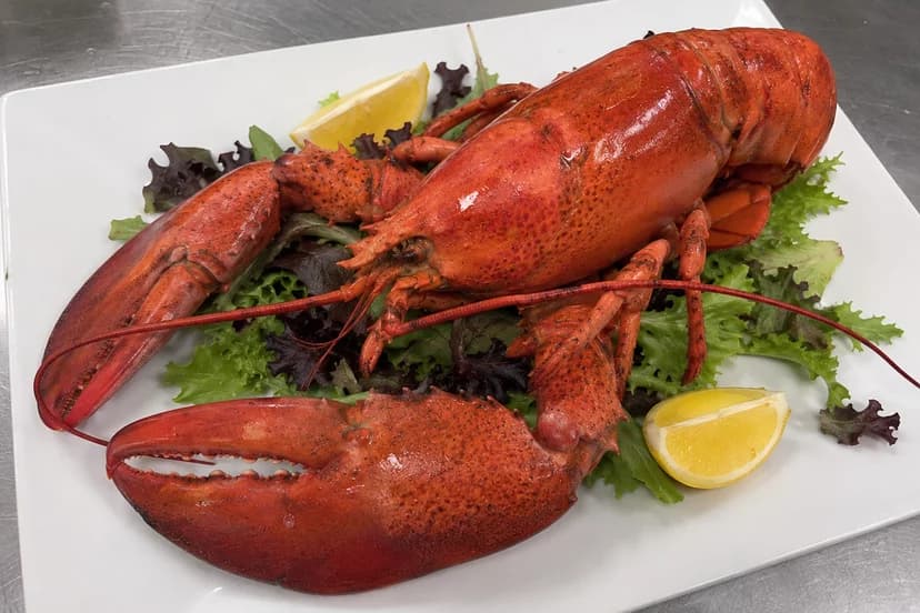 Canadian Lobster