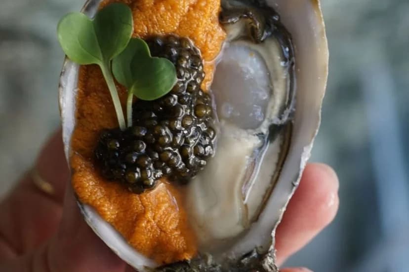 Oyster/Sea orchin meat/Caviar