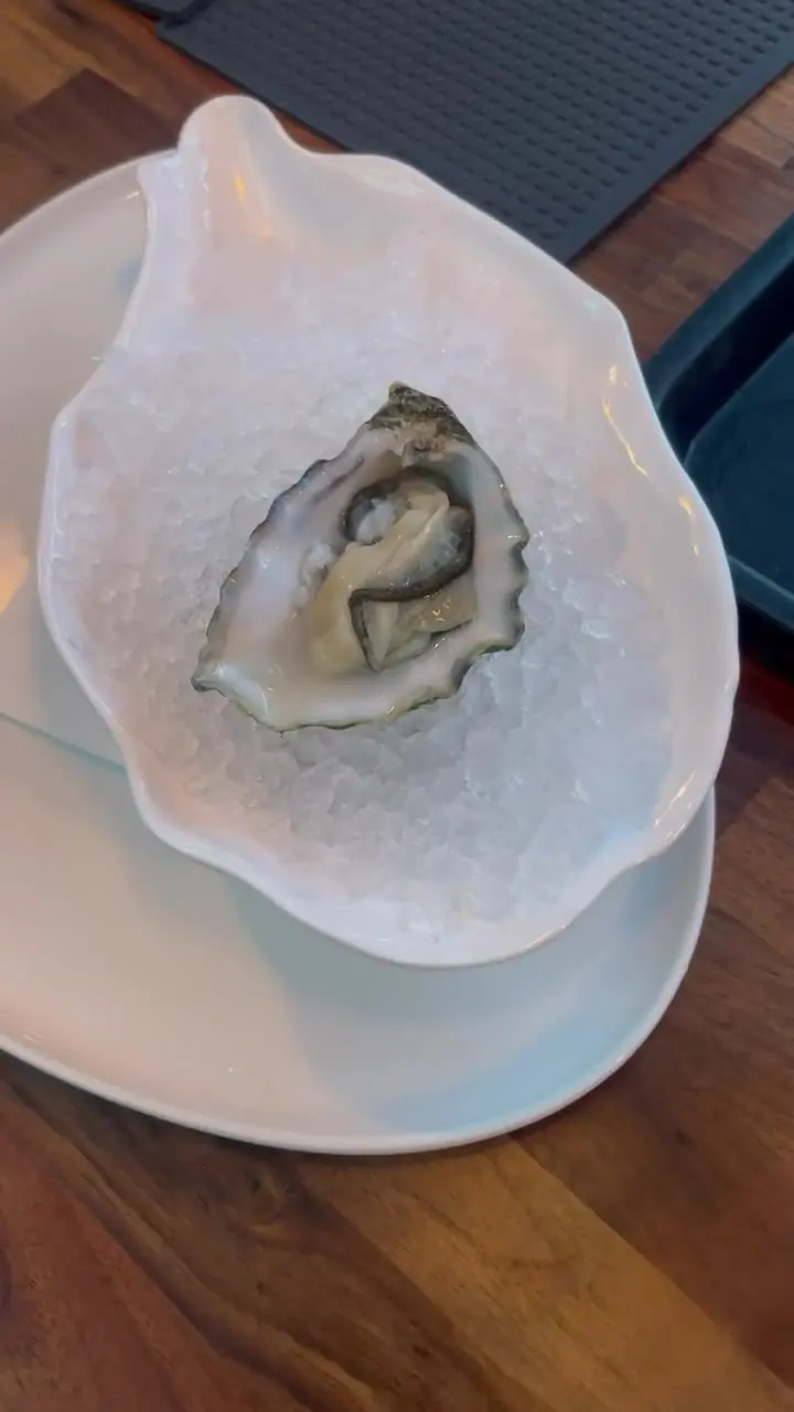 Ostra recién abierta sobre hielo picado, así deben servirse las ostras frescas en Marbella