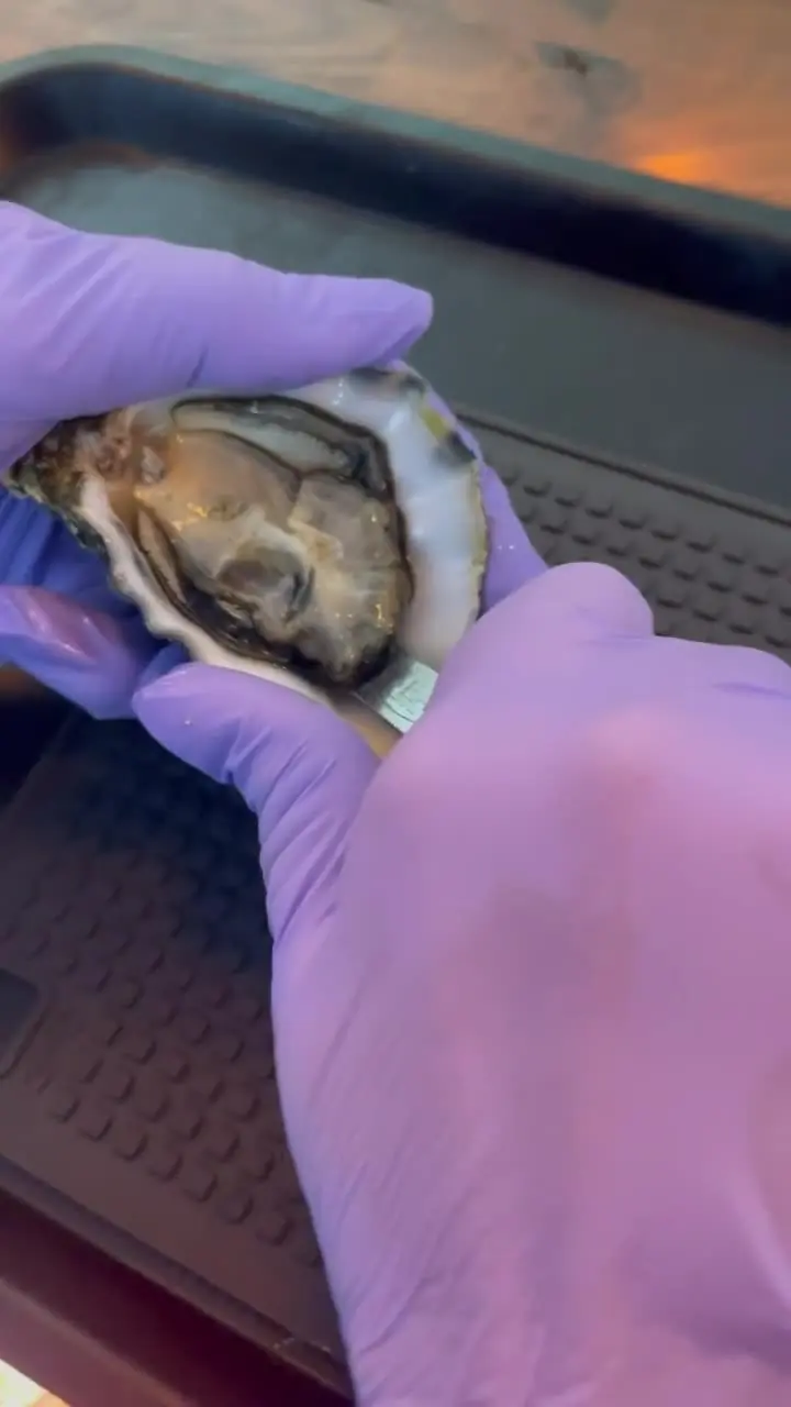 An oyster opened with a knife, shell parting